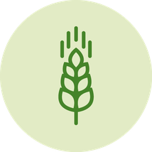 glutenfrei; Gluten; Weizengluten; Zöliakie