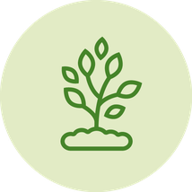 natur; naturbelassen; natürlich; Gewürze; Würzkraft